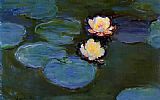 Water-Lilies 02